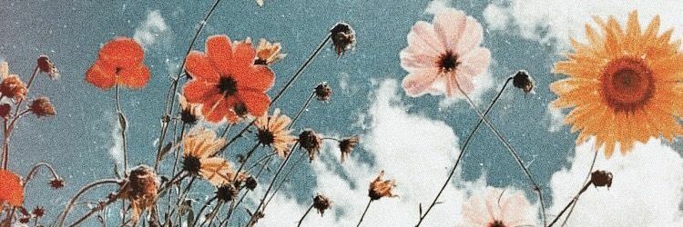 ekwjdeka's profile banner image