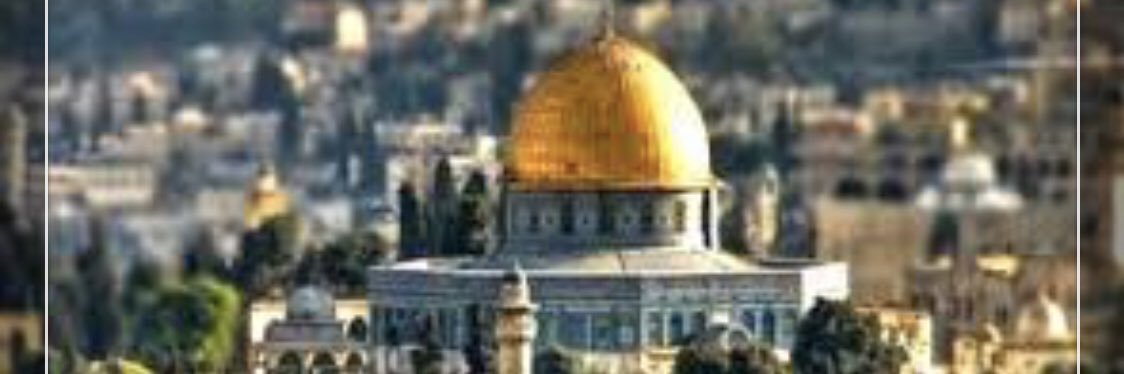 طلال القويضي banner