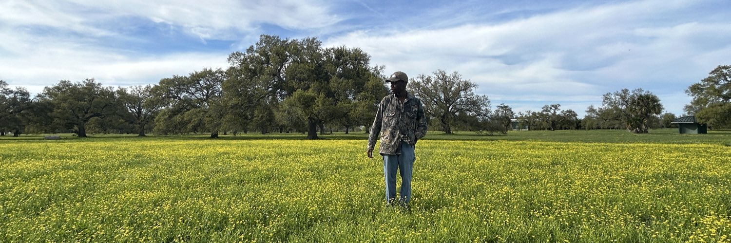 sosodebose's profile banner image