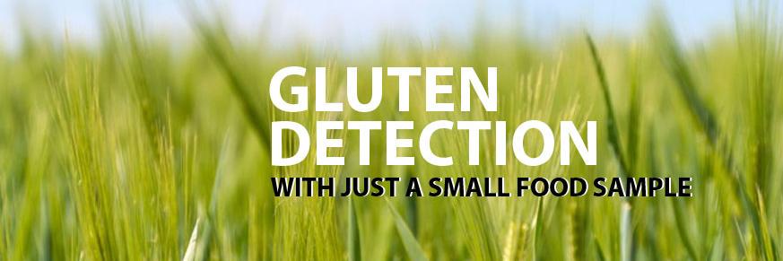EZGLUTEN's profile banner image