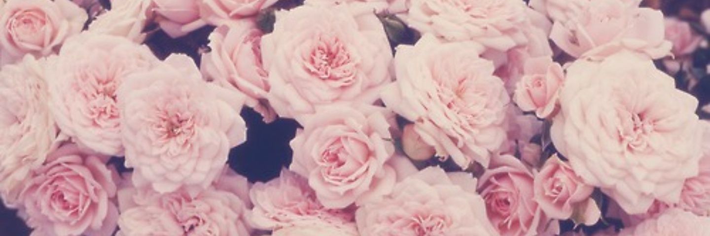 brookieperrone's profile banner image