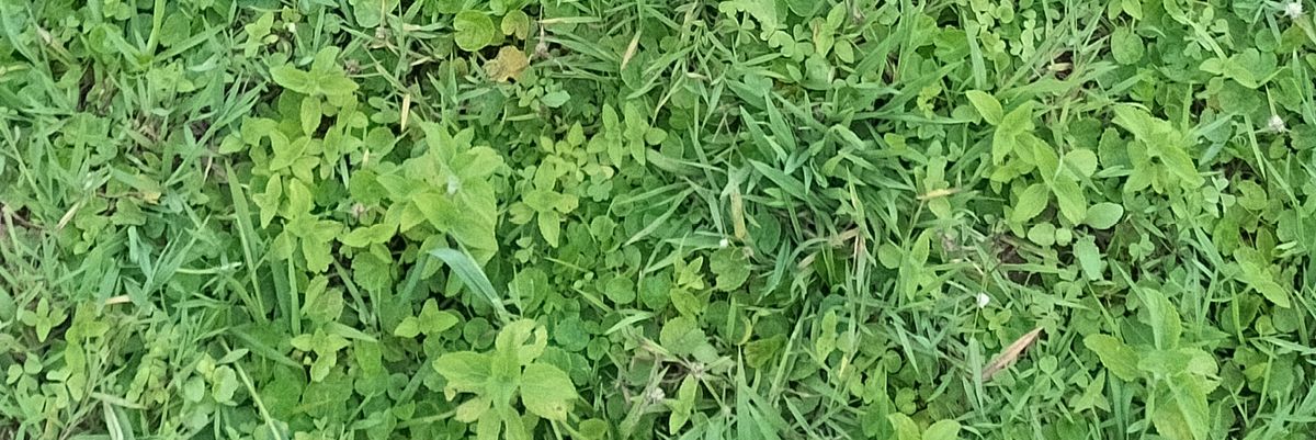 Englourenco's profile banner image