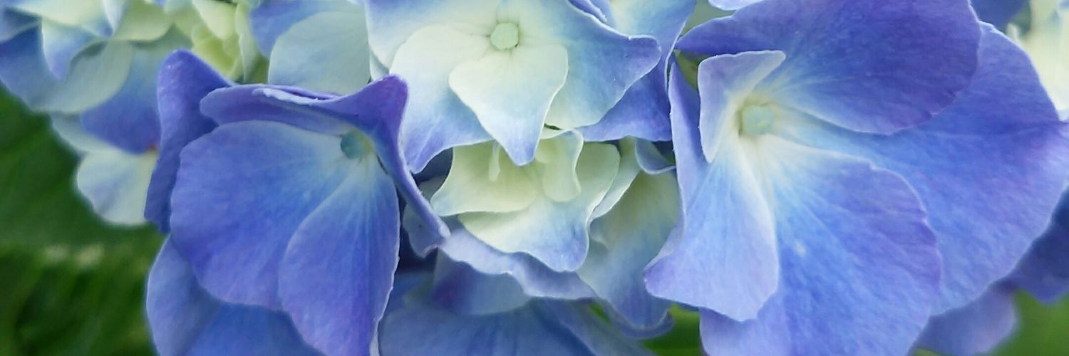 maeno618's profile banner image