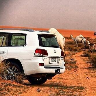 walid20255's profile banner image