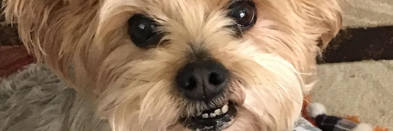 kainapoint's profile banner image