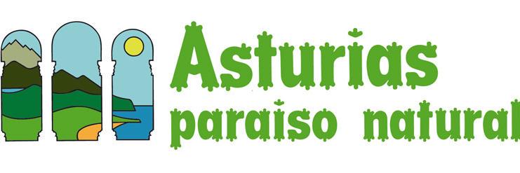 Tania Lastra banner