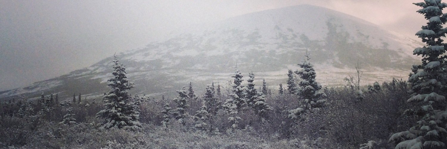eskimoJ20's profile banner image