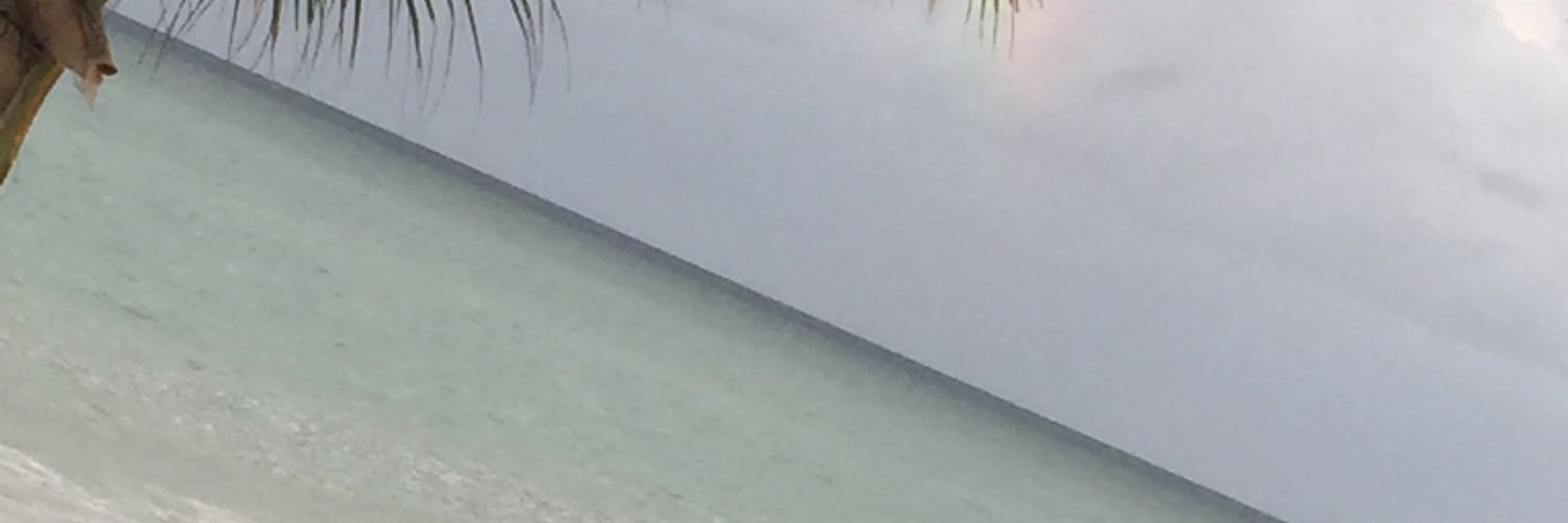 LoveWals's profile banner image