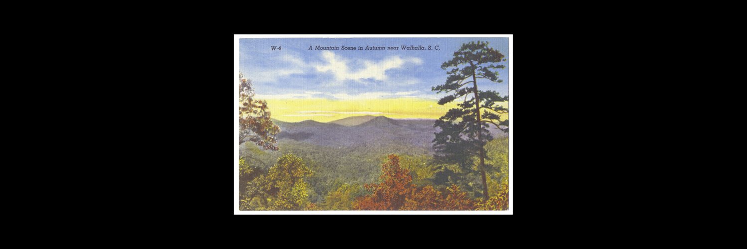 WoffCSpecColl's profile banner image