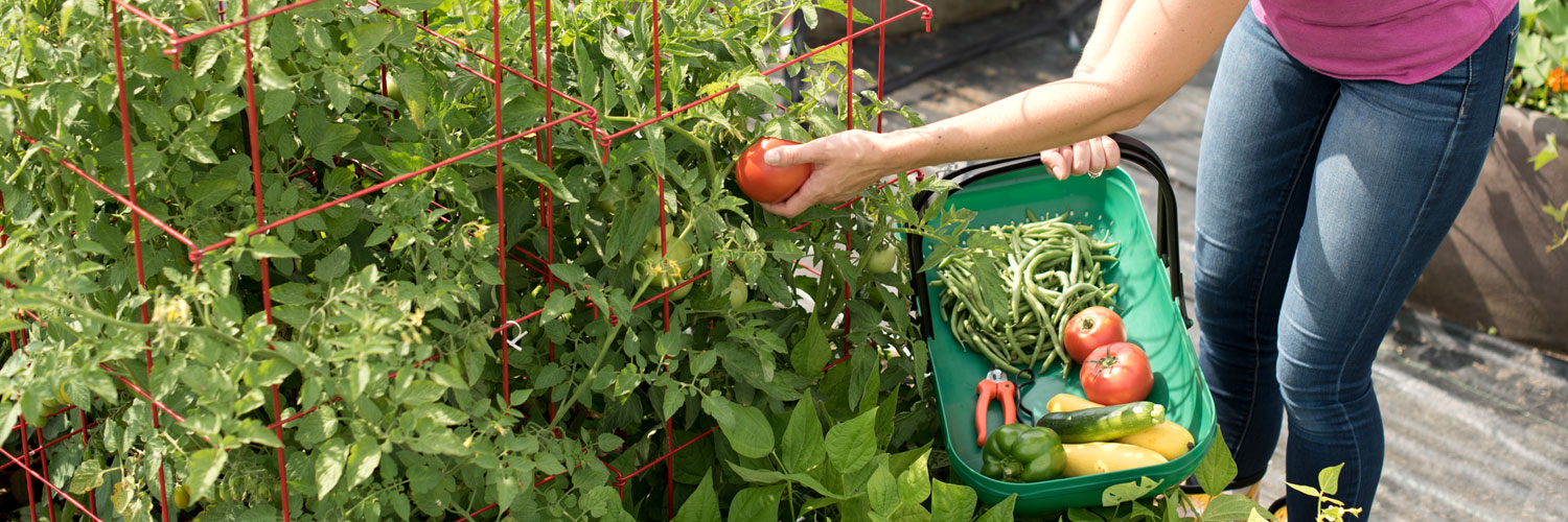 gardenersedge's profile banner image