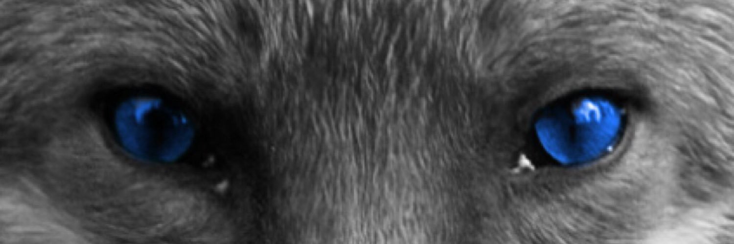 grayster84's profile banner image