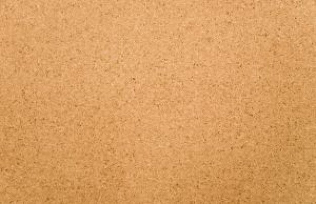 danitarocha854's profile banner image