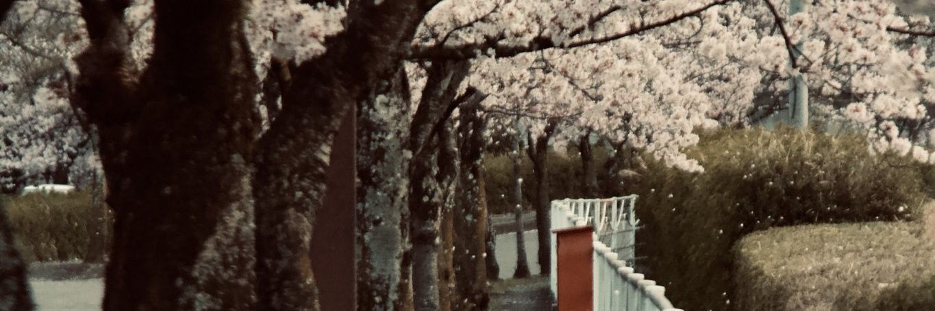 kani_ten's profile banner image