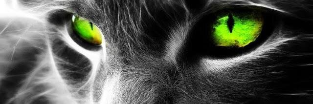 Tipsypee banner