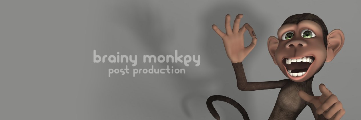 TheBrainyMonkey's profile banner image