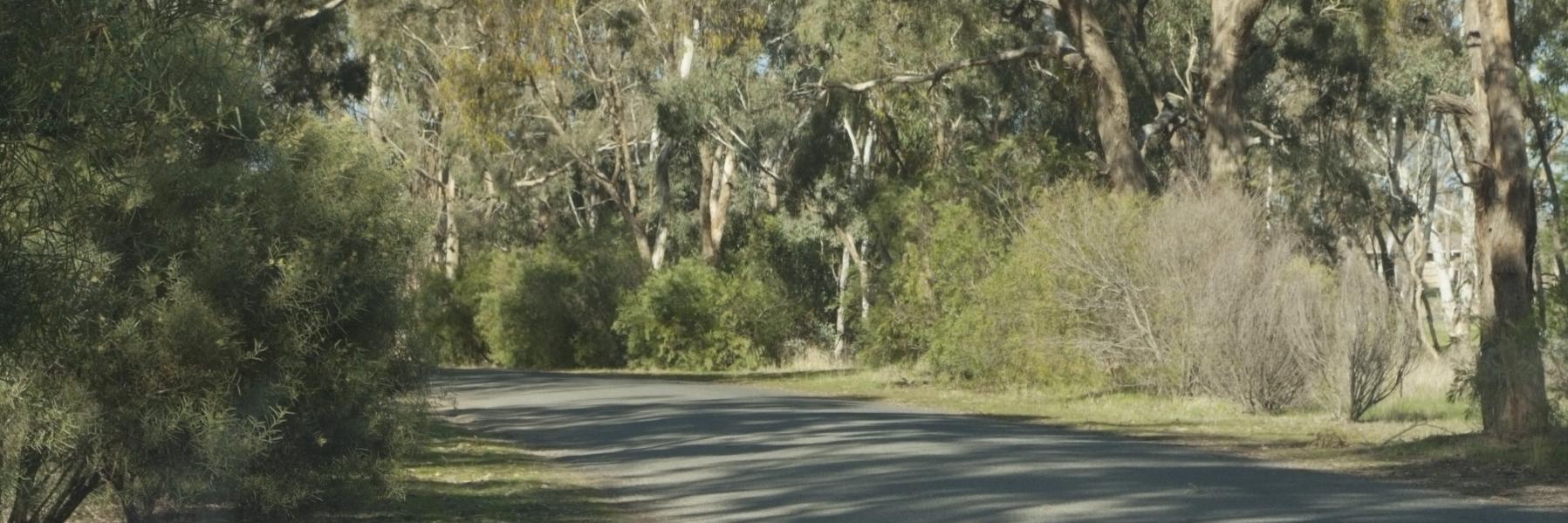 PoppySleeman's profile banner image