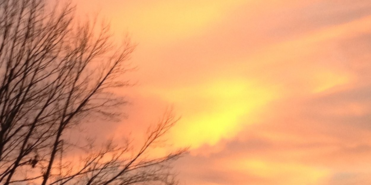 David M Pasquariello banner