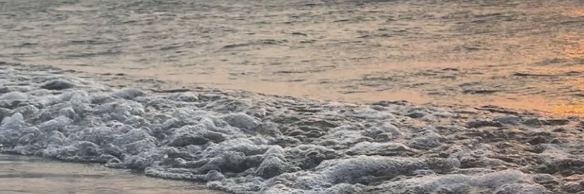 SosiRashed's profile banner image