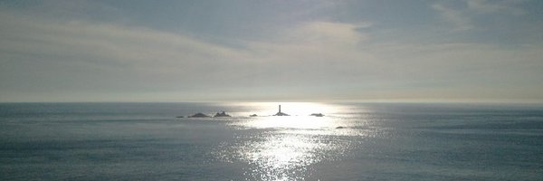 Bugman_140 Profile Banner