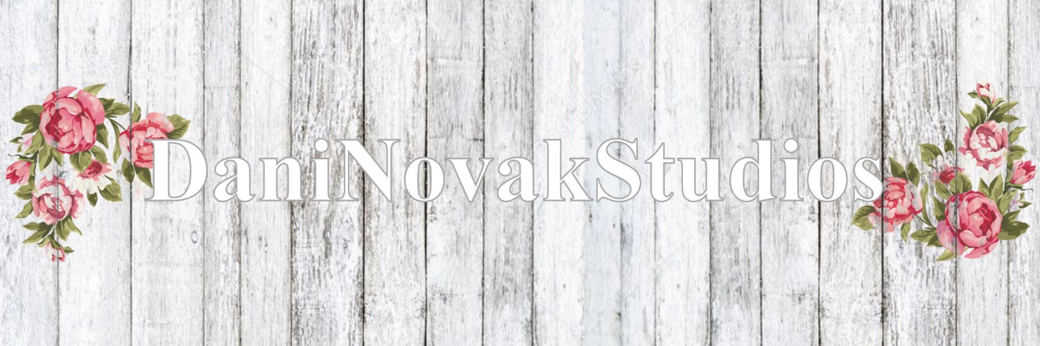 daninovakstudio's profile banner image
