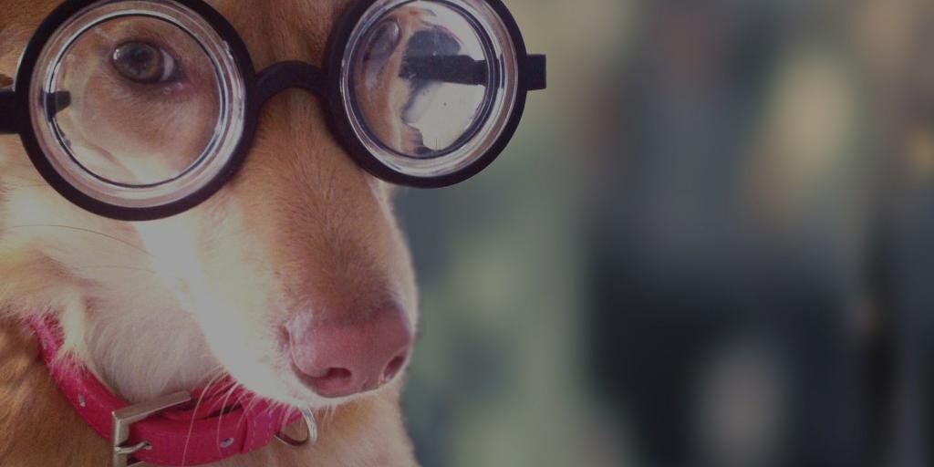 MasalaNerds's profile banner image