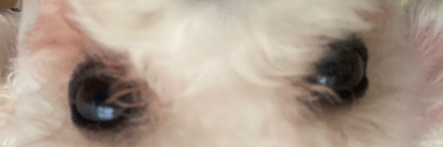 _clauarevalo08's profile banner image