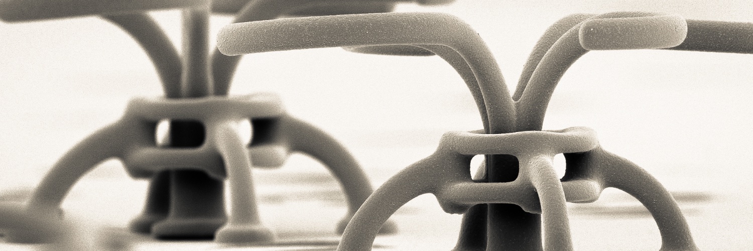 Roberto Di Leonardo banner