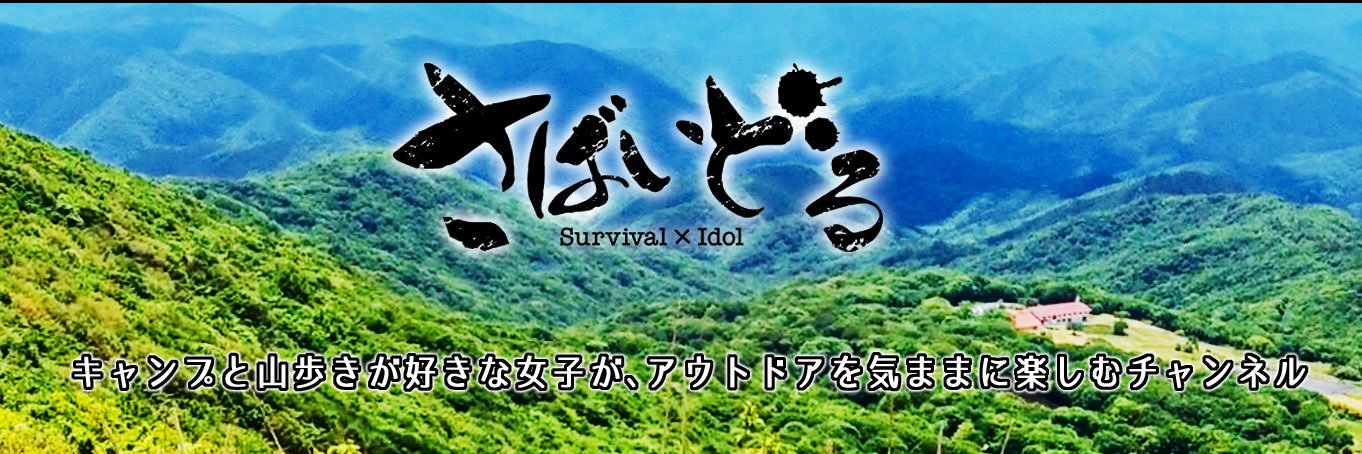survidol's profile banner image