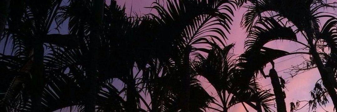 nah_capp's profile banner image