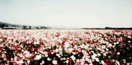 lucycwlgdr's profile banner image