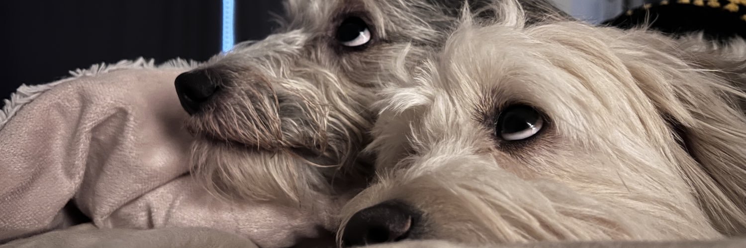 rgoode_'s profile banner image
