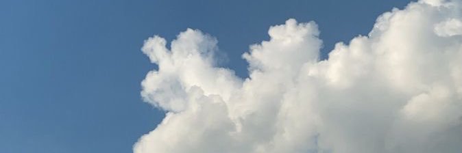 camilaescu's profile banner image