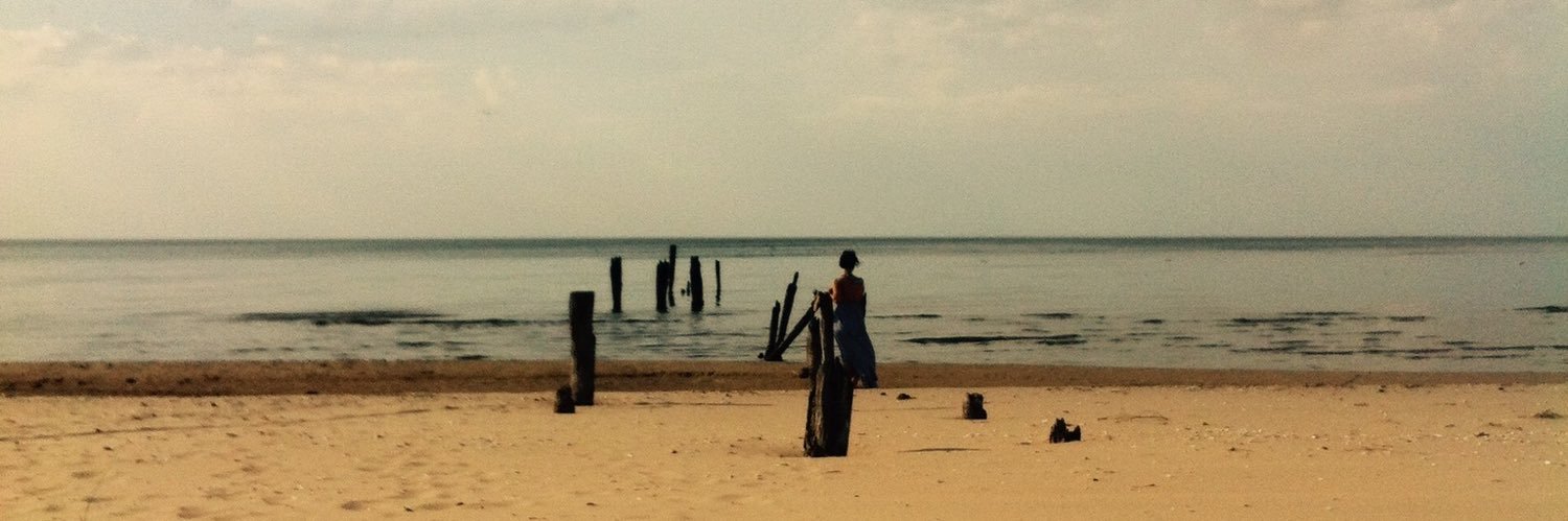 Inga Spriņķe banner