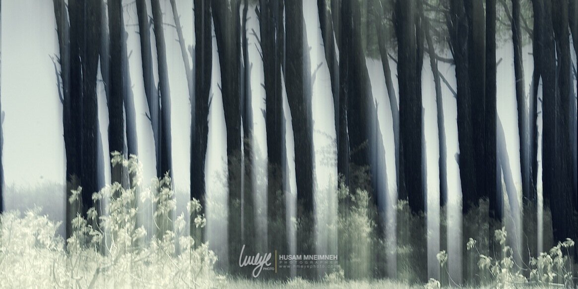HMeyephoto's profile banner image