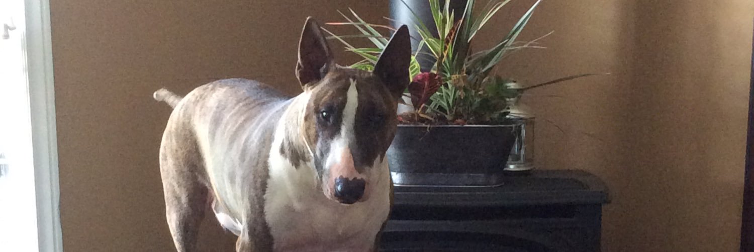 wendyl500's profile banner image