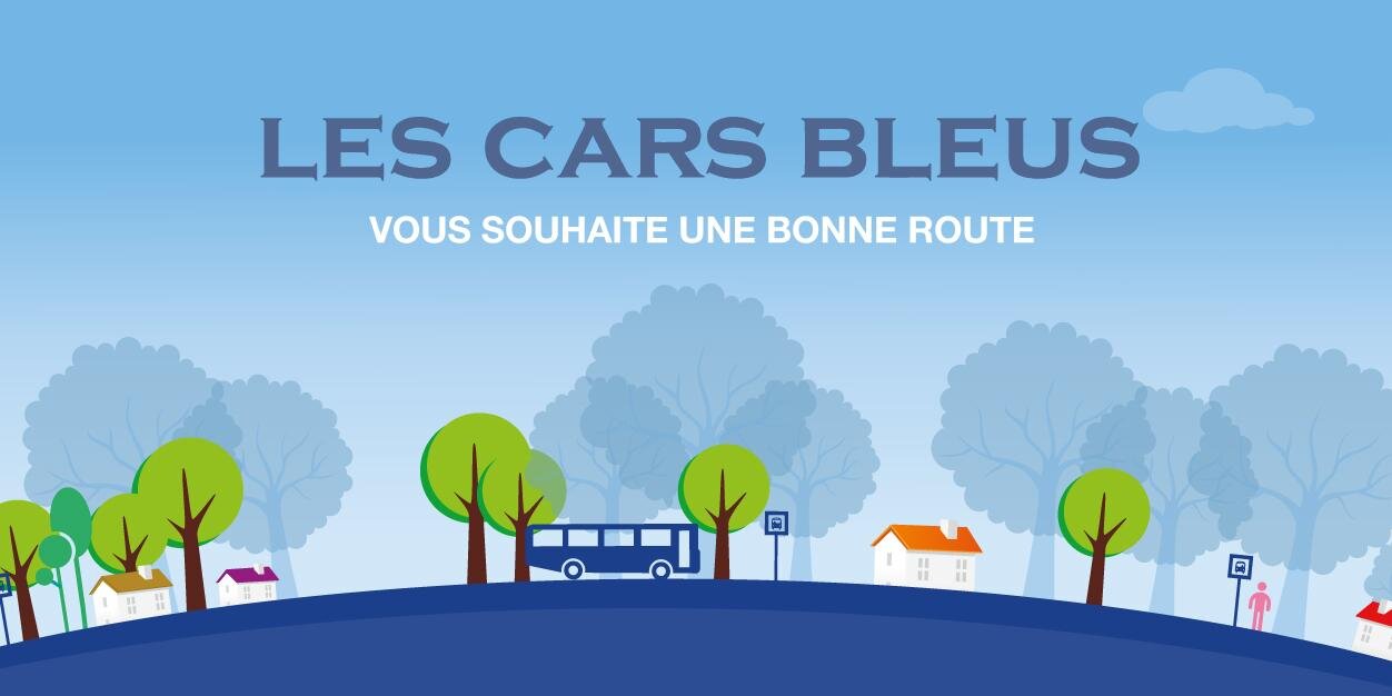 LesCarsBleus's profile banner image