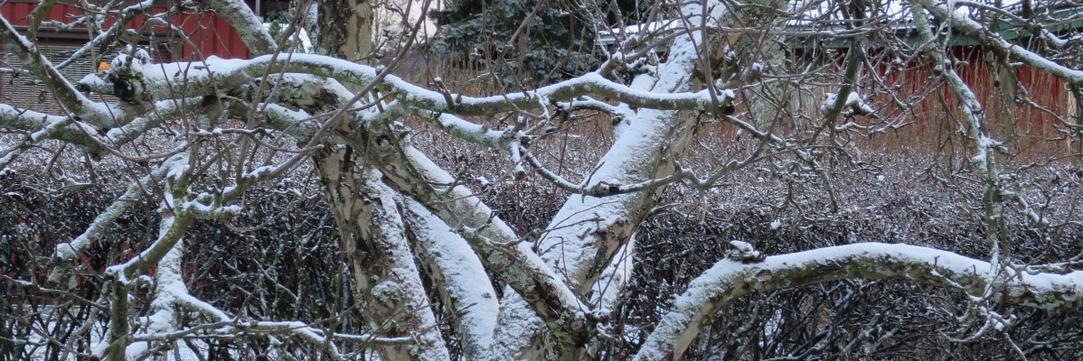 PiiviV's profile banner image