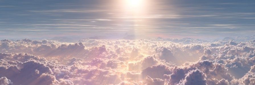 TLANDALLY's profile banner image