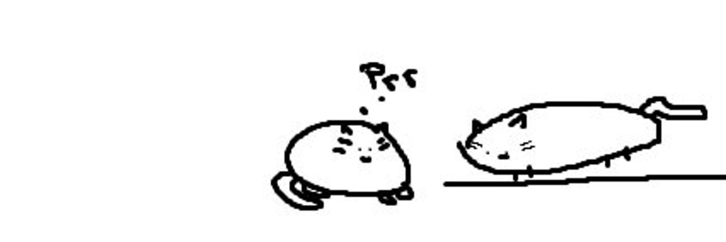 taye ₍ᐢ •̀⩊•́ ᐢ₎'s banner