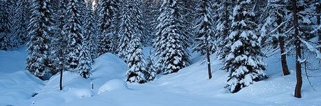 athcpl's profile banner image