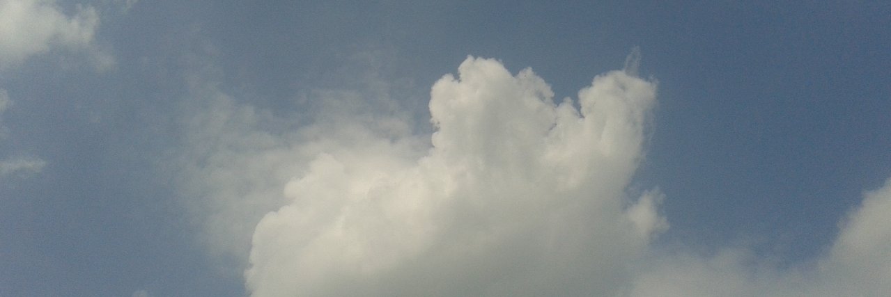 Myrteleffring's profile banner image