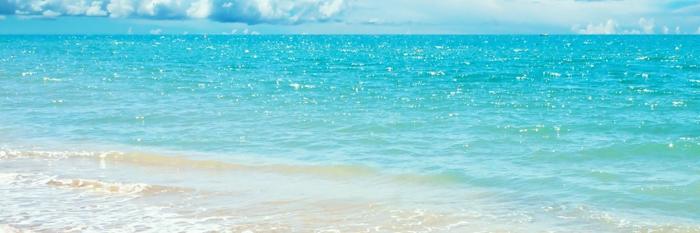 LisaWheeler's profile banner image