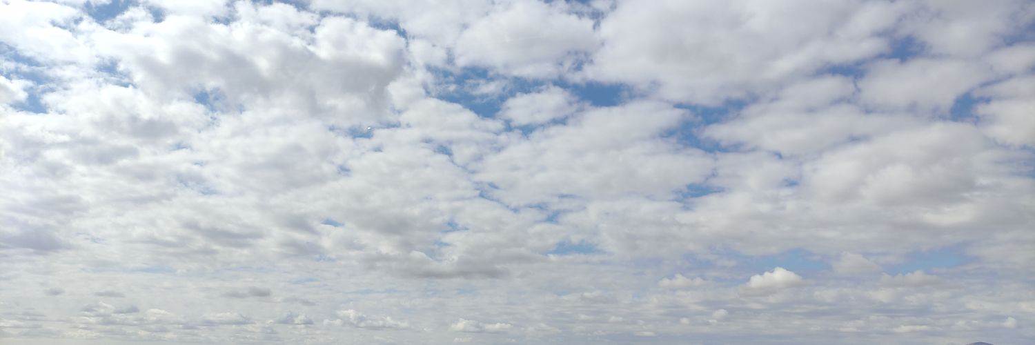 Rudiarius_s's profile banner image