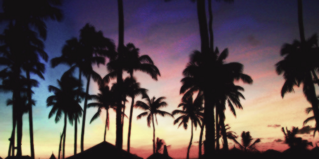 alicegdrs's profile banner image
