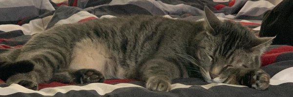 brian_phares Profile Banner