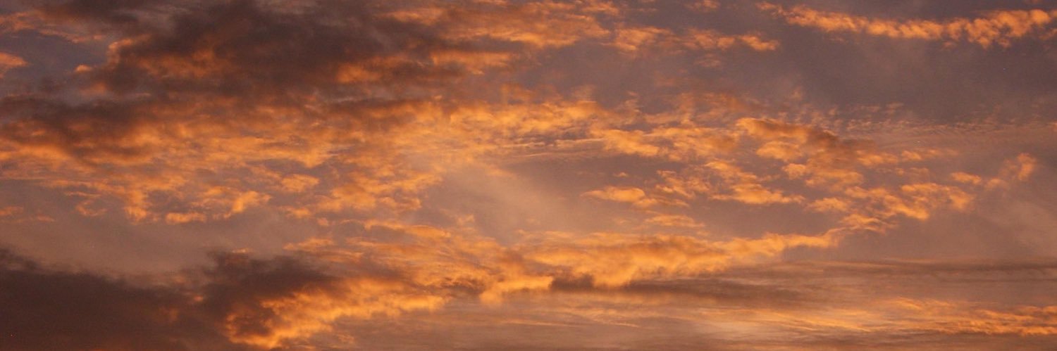springdxyalba's profile banner image