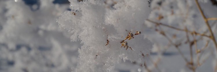 Robz_1988's profile banner image