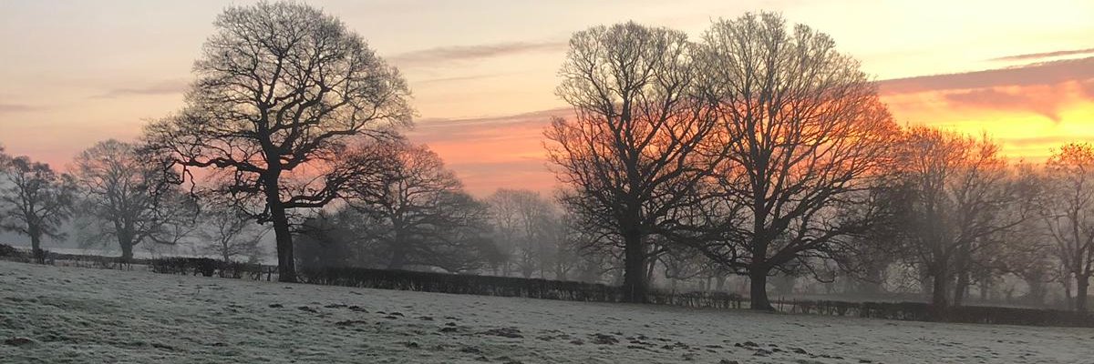 William Gelling banner