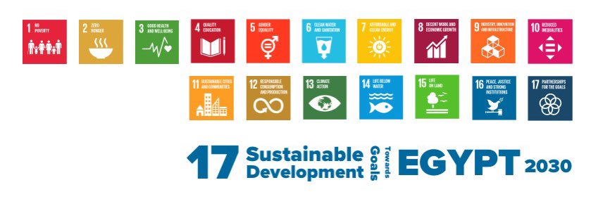 UNDP Egypt's banner
