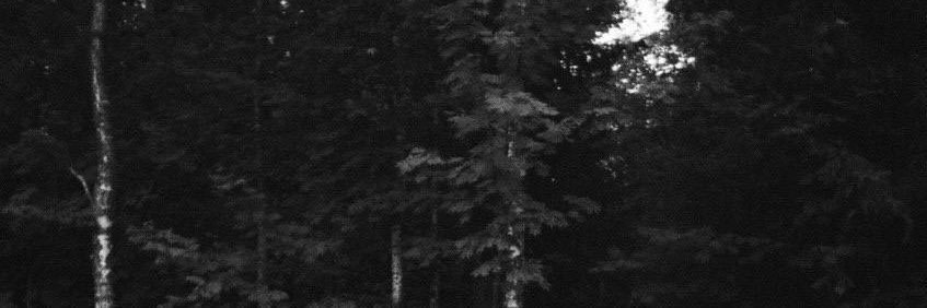 magicboxDi's profile banner image